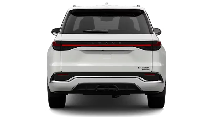 Lexus TXh - Back