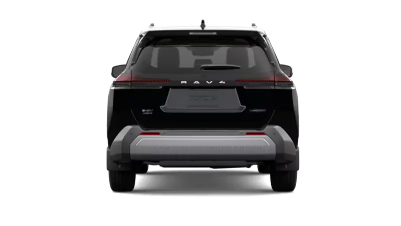 Toyota RAV4 - Back