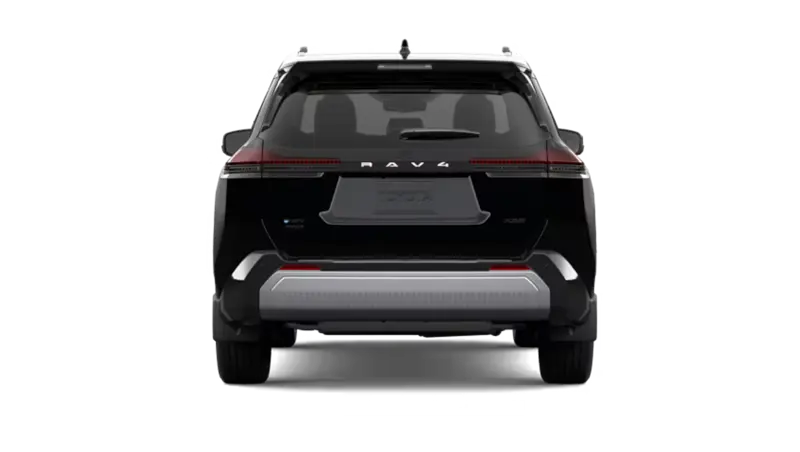 Toyota RAV4 - Back
