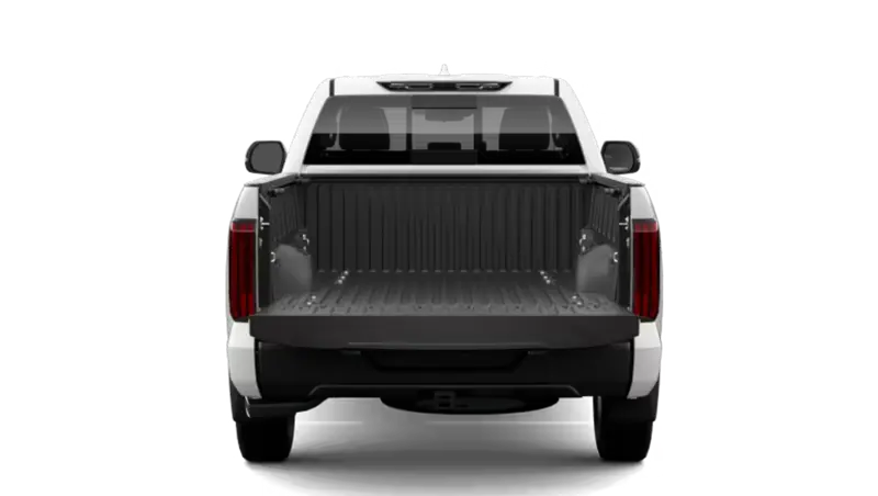 Toyota Tundra 4X2 - Back