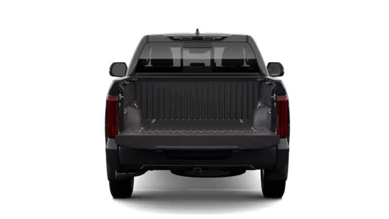 Toyota Tundra 4X2 - Back